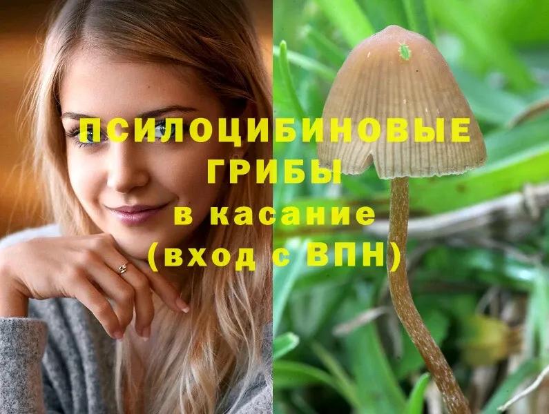 ОМГ ОМГ зеркало  Красноармейск  Псилоцибиновые грибы GOLDEN TEACHER 